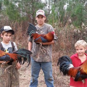 Meet your Posher, Mike